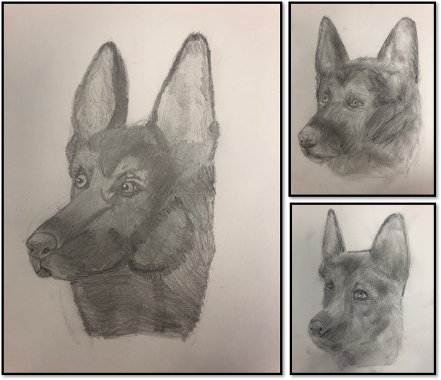 Year 6 skecthbook - dogs 