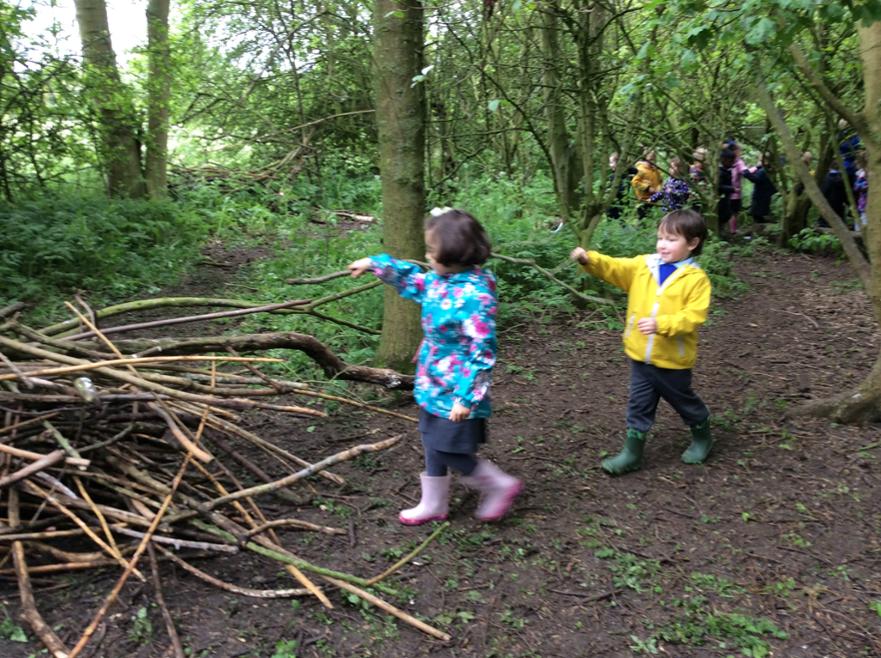working together in the forest (4) 