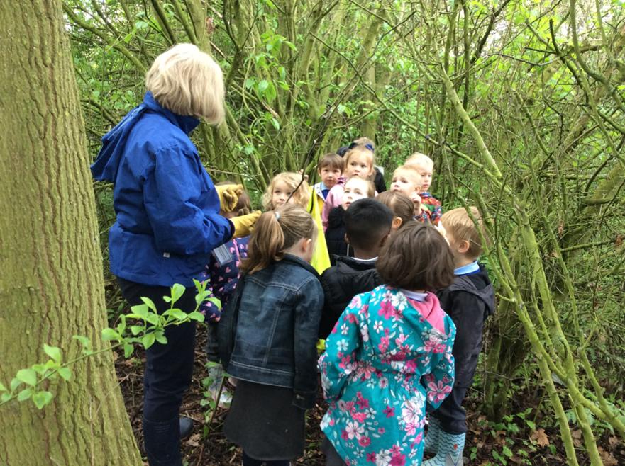 working together in the forest (5) 